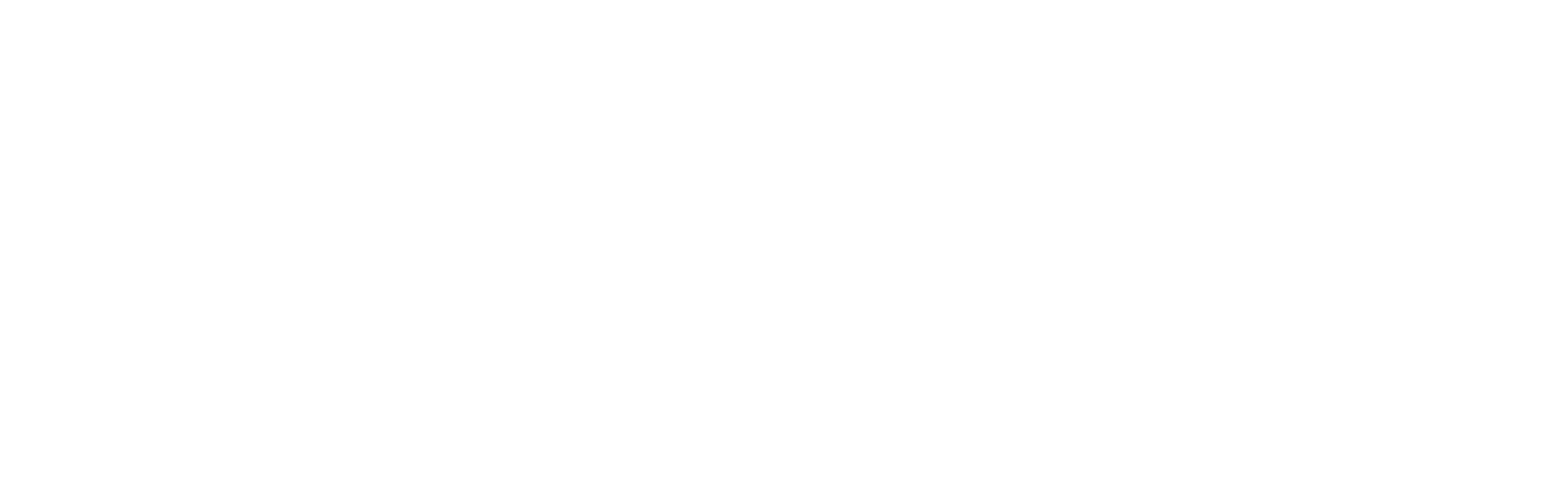 Stage Door Styles logo